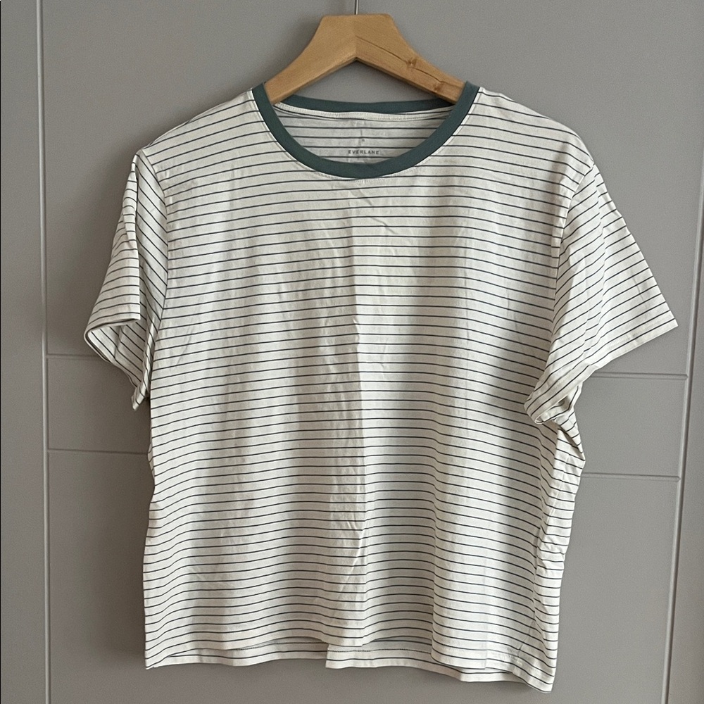 Everlane Cotton Boxy Tee in Teal Green and Cream Stripe